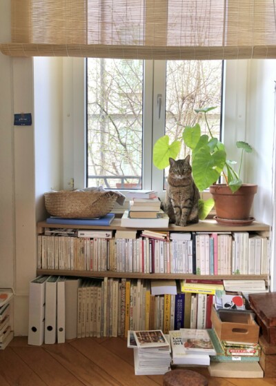photo d'une librairie rangée